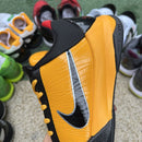 Nike Kobe 5 Protro Bruce Lee
