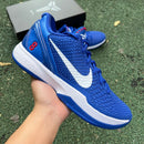 Nike Kobe 6 Protro Dodgers