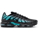 Nike Air Max Plus Black Dusty Cactus