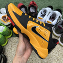 Nike Kobe 5 Protro Bruce Lee