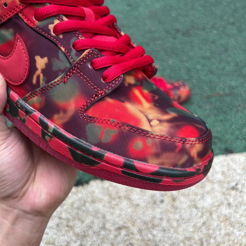 Nike SB Dunk Low The Wizard of Oz Poppy Field