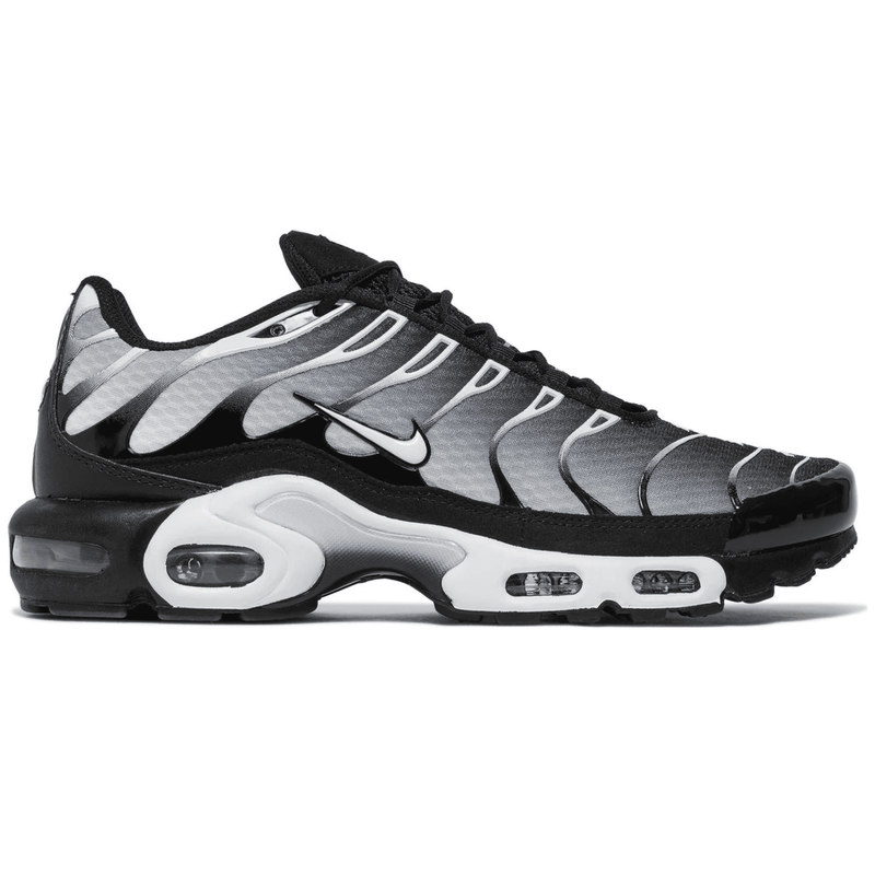 Nike Air Max Plus Black Silver White