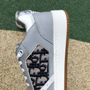 Dior B27 Low Gray White