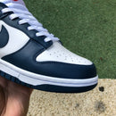 Nike Dunk Low Valerian Blue