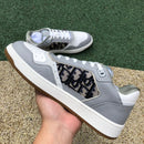 Dior B27 Low Gray White