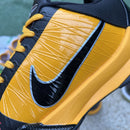 Nike Kobe 5 Protro Bruce Lee