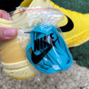 Nike Kobe 4 Protro CHBL