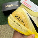 Nike Kobe 4 Protro CHBL