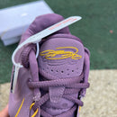 Nike LeBron 21 Purple Rain