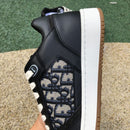 Dior B27 Low Black Beige