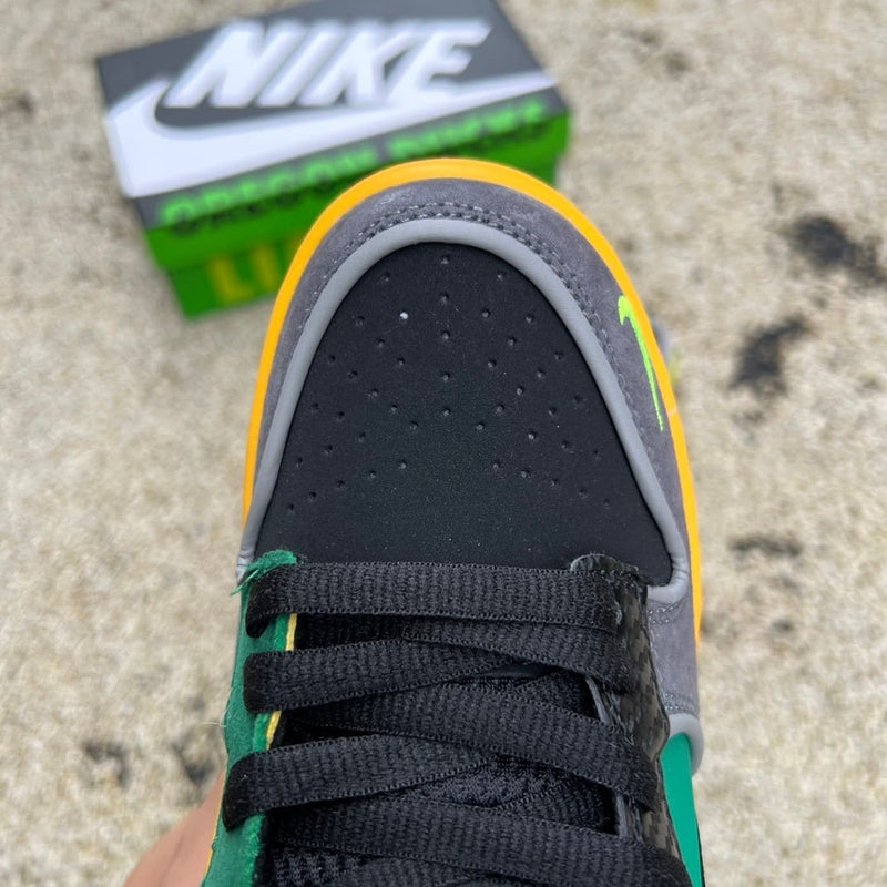 Nike Dunk Low What the Duck Home University of Oregon PE