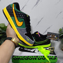 Nike Dunk Low What the Duck Home University of Oregon PE