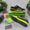 Nike Dunk Low What the Duck Home University of Oregon PE