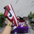 Nike SB Dunk Low J-Pack Chicago