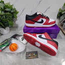 Nike SB Dunk Low J-Pack Chicago