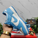 Nike Dunk Low Coast
