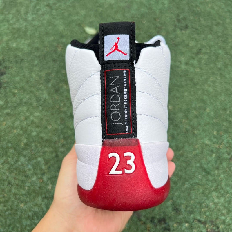 Air Jordan 12 Retro Cherry (2023)