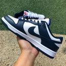 Nike Dunk Low Valerian Blue