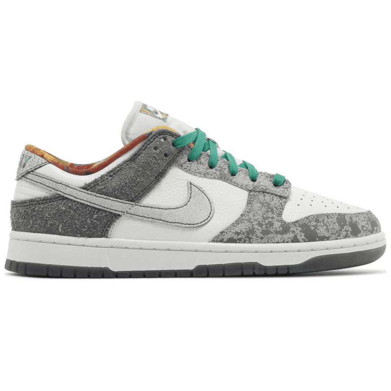 Nike Dunk Low Retro Premium Philly