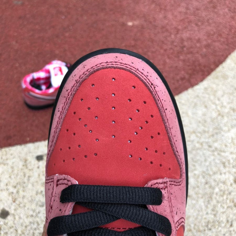 Nike SB Dunk Low Concepts Red Lobster