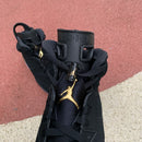 Air Jordan 6 Retro DMP
