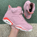 Air Jordan 6 Retro Aleali May