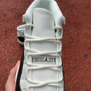 Air Jordan 11 Retro Neapolitan