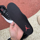 Air Jordan 12 Retro Playoffs