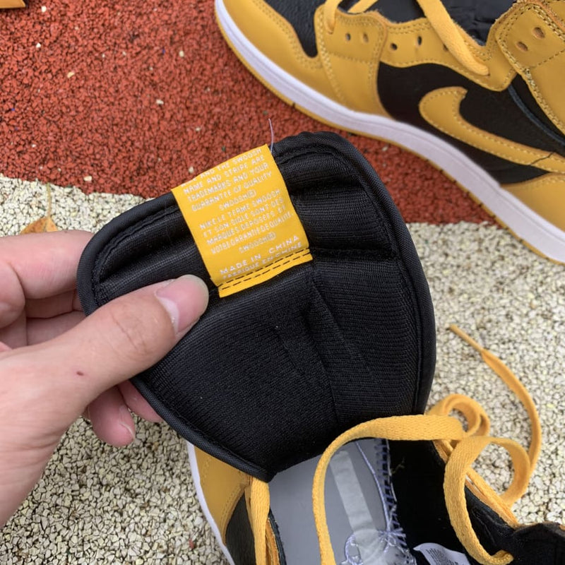 Air Jordan 1 Retro High Pollen