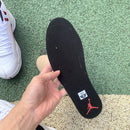 Air Jordan 12 Retro Twist