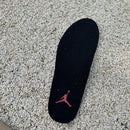 Air Jordan 11 Retro Low 72-10