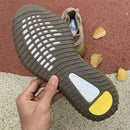 Adidas Yeezy Boost 350 V2 Earth