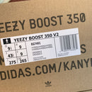 Adidas Yeezy Boost 350 V2 Hyperspace