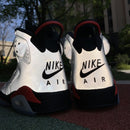 Air Jordan 6 Retro Reflections of a Champion