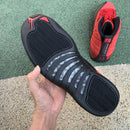 Air Jordan 12 Retro Reverse Flu Game