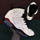 Air Jordan 6 Retro Reflections of a Champion