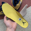 Air Jordan 5 Retro Michigan