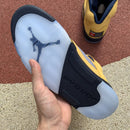 Air Jordan 5 Retro Michigan