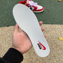 Nike Dunk Low Chicago Split