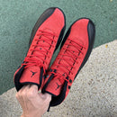 Air Jordan 12 Retro Reverse Flu Game