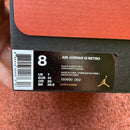 Air Jordan 12 Retro Flu Game (2025)