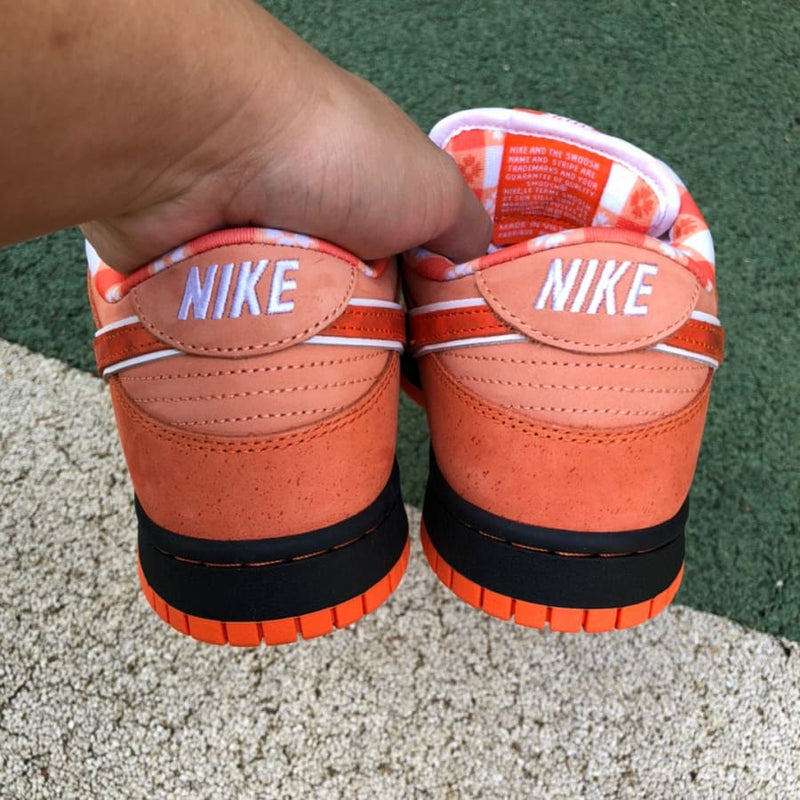 Nike SB Dunk Low Concepts Orange Lobster