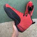 Air Jordan 12 Retro Reverse Flu Game