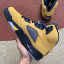 Air Jordan 5 Retro Michigan