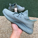 Adidas Yeezy Boost 350 V2 Salt