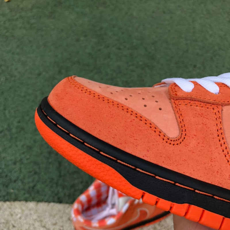 Nike SB Dunk Low Concepts Orange Lobster