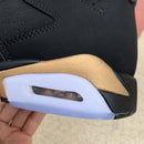 Air Jordan 6 Retro DMP