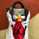 Air Jordan 6 Retro Hare