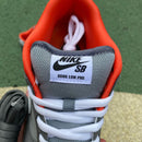 Nike SB Dunk Low Staple NYC Pigeon