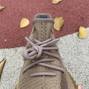 Adidas Yeezy Boost 350 V2 Earth
